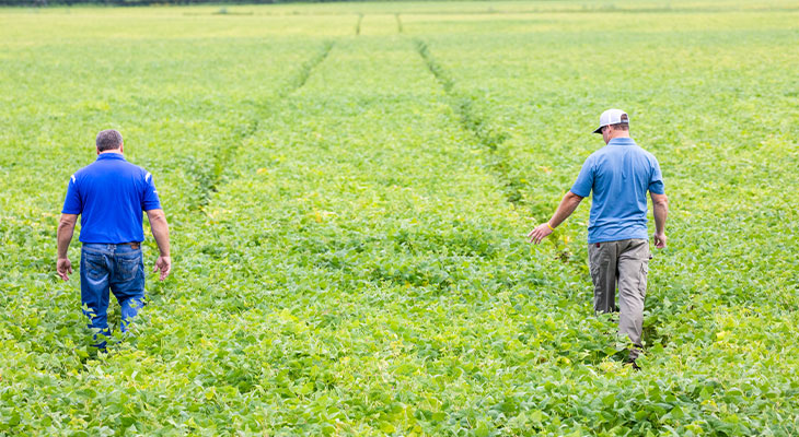Two people walking in a field