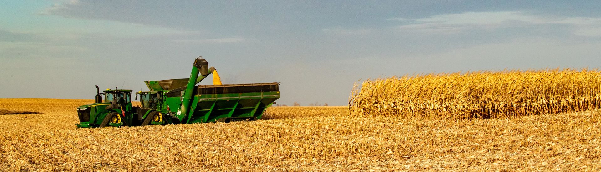 Combine in the field