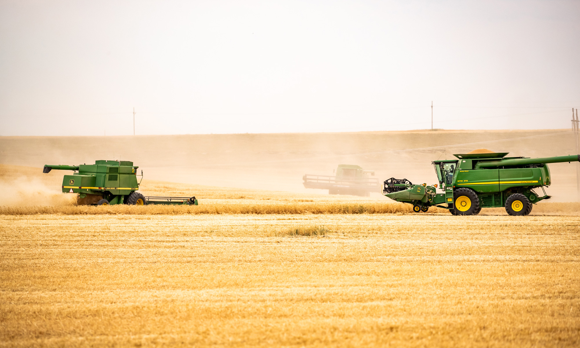 Combines harvesting a wheat field