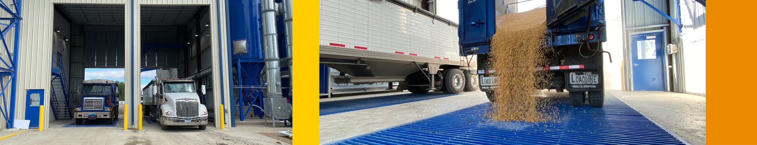 Collage of semi trailer trucks parked in a processing facility garage and harvested corn being unloaded at a processing facility