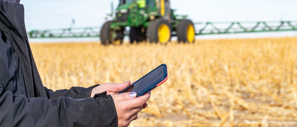 Hands holding smartphone with a harvested field in the background