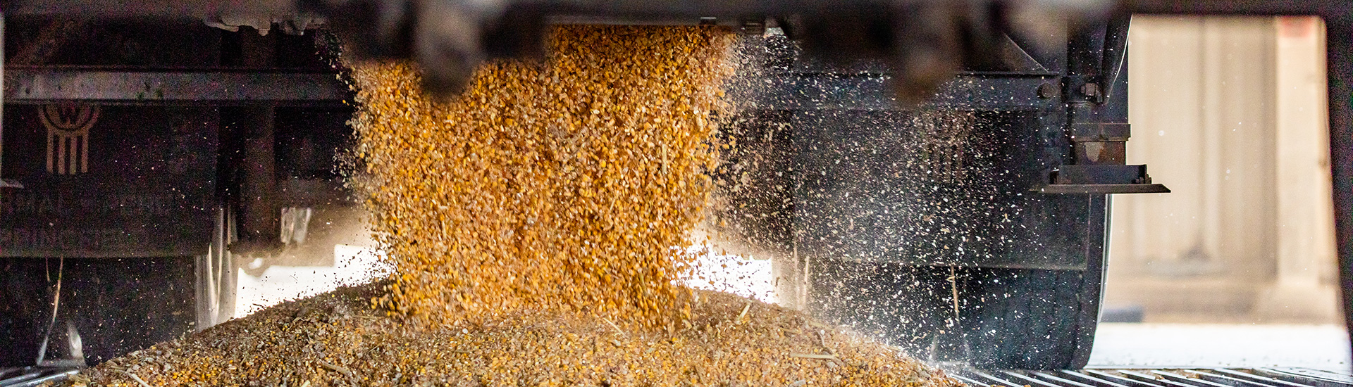unloading grain from back of truck